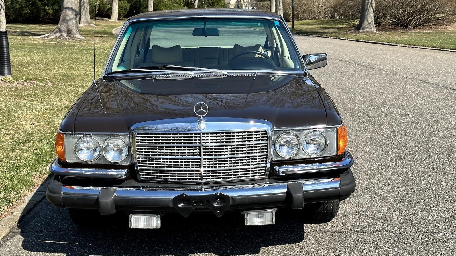 Mercedes-Benz-400-Series-1974-SEDAN-33
