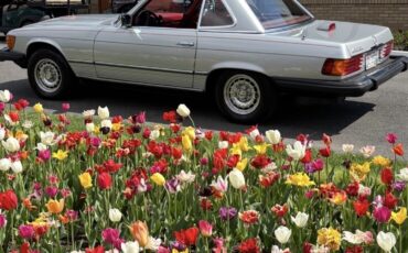 Mercedes-Benz-450SL-1976-1