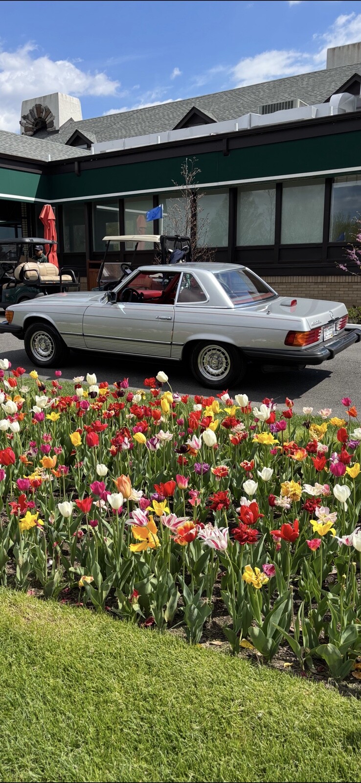 Mercedes-Benz-450SL-1976-1