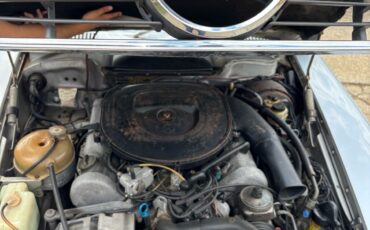 Mercedes-Benz-450SL-1976-30