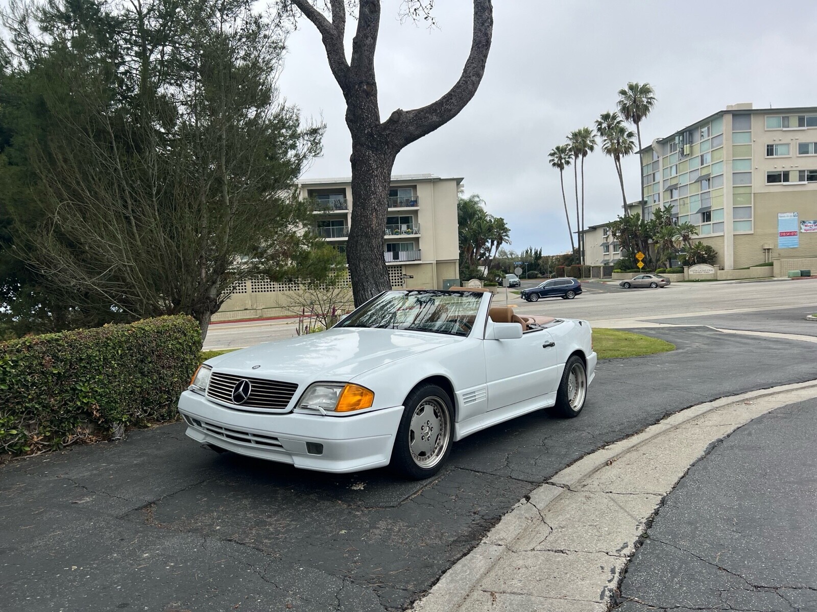 Mercedes-Benz-500-Series-1991-Convertible-39