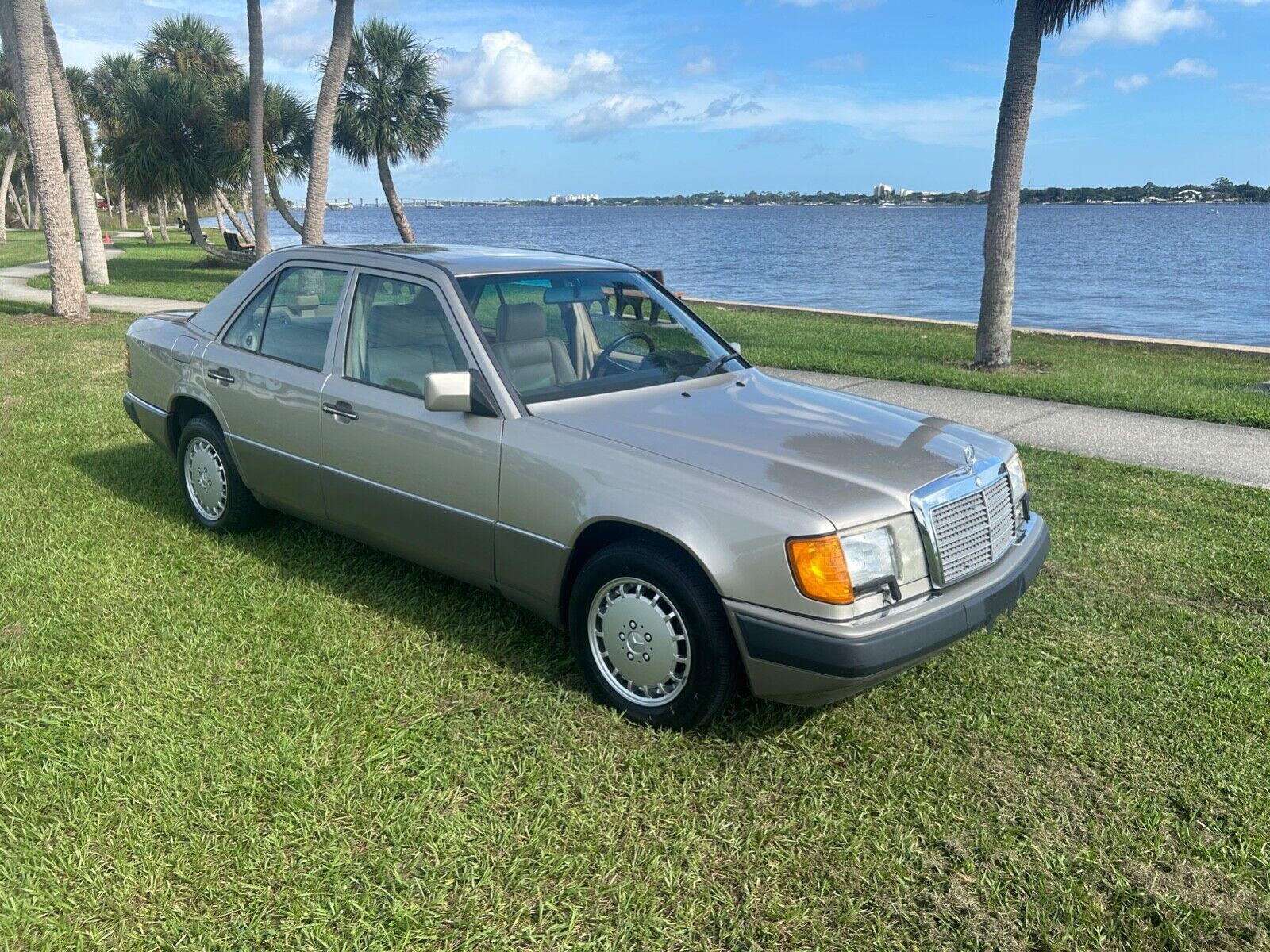 Mercedes-Benz-E-Class-1991-Sedan-3
