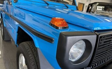 Mercedes-Benz-G-Class-1987-13