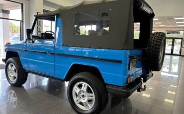 Mercedes-Benz-G-Class-1987-5