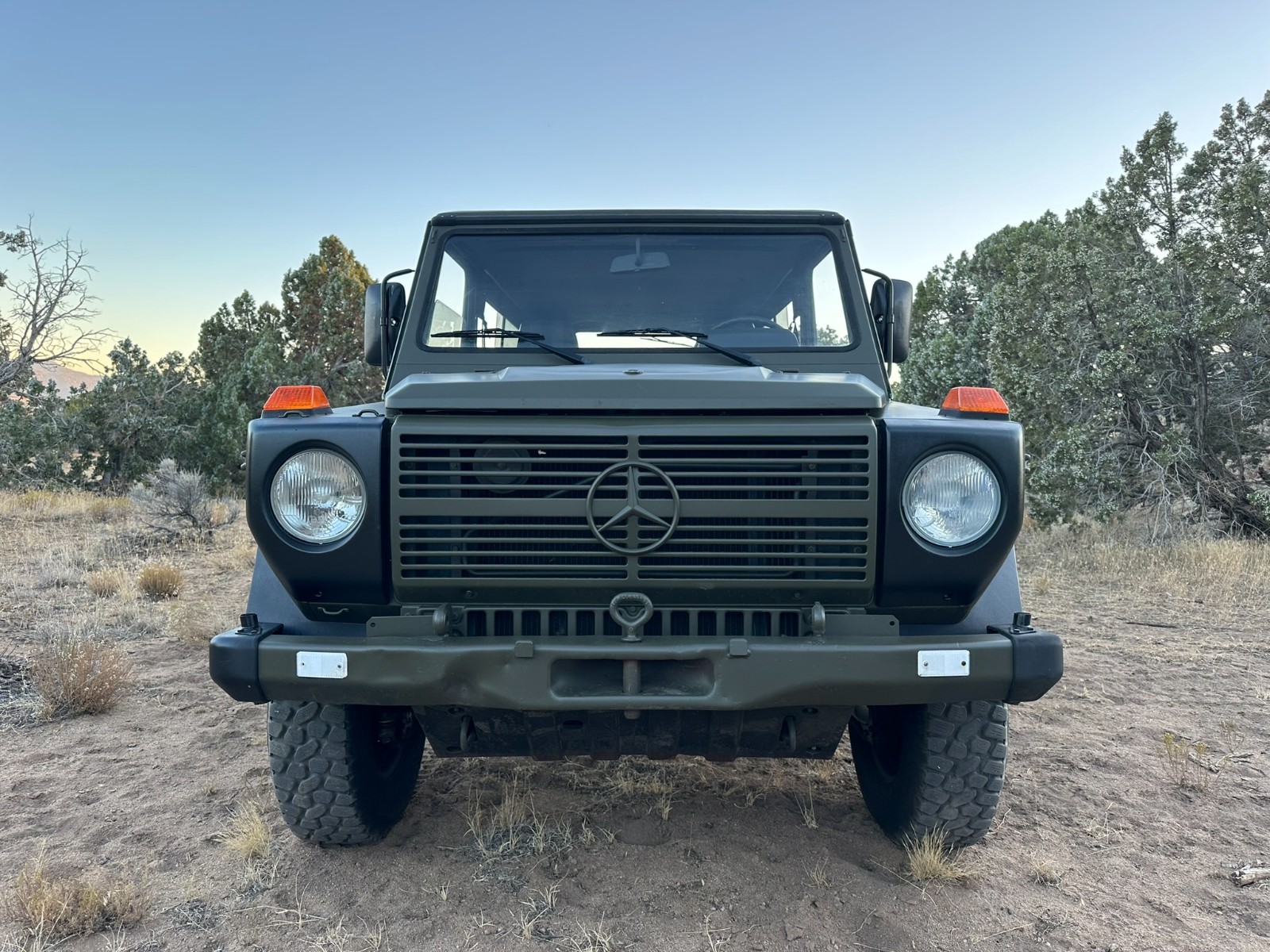 Mercedes-Benz-G-Class-1994-Wagon-1