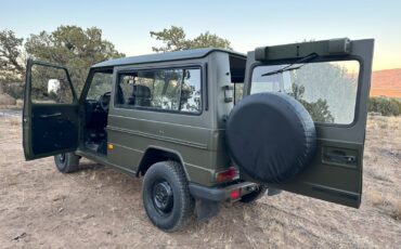 Mercedes-Benz-G-Class-1994-Wagon-11