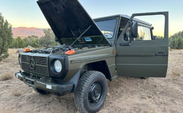 Mercedes-Benz-G-Class-1994-Wagon-28