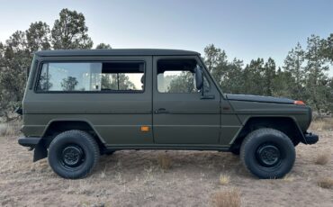 Mercedes-Benz-G-Class-1994-Wagon-3