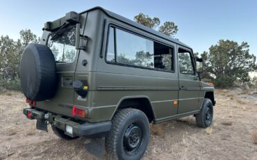 Mercedes-Benz-G-Class-1994-Wagon-4