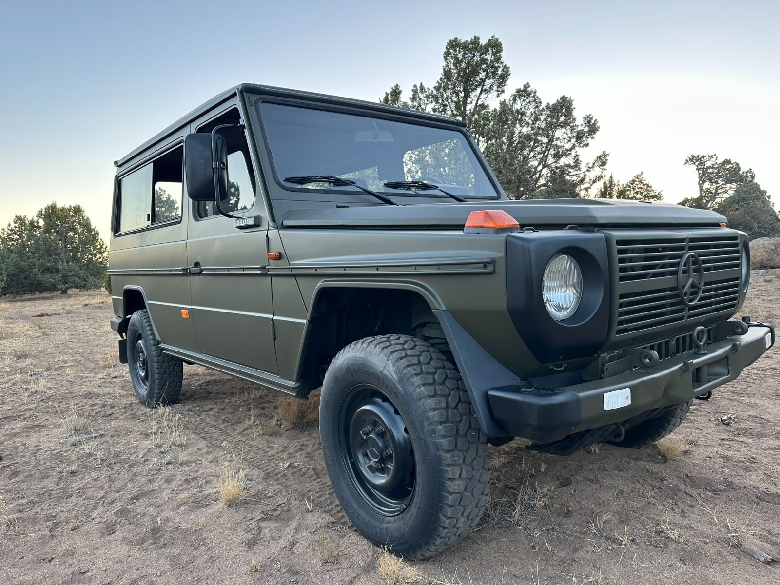 Mercedes-Benz G-Class 1994 Wagon