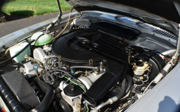 Mercedes-Benz-SL-Class-1976-Convertible-15