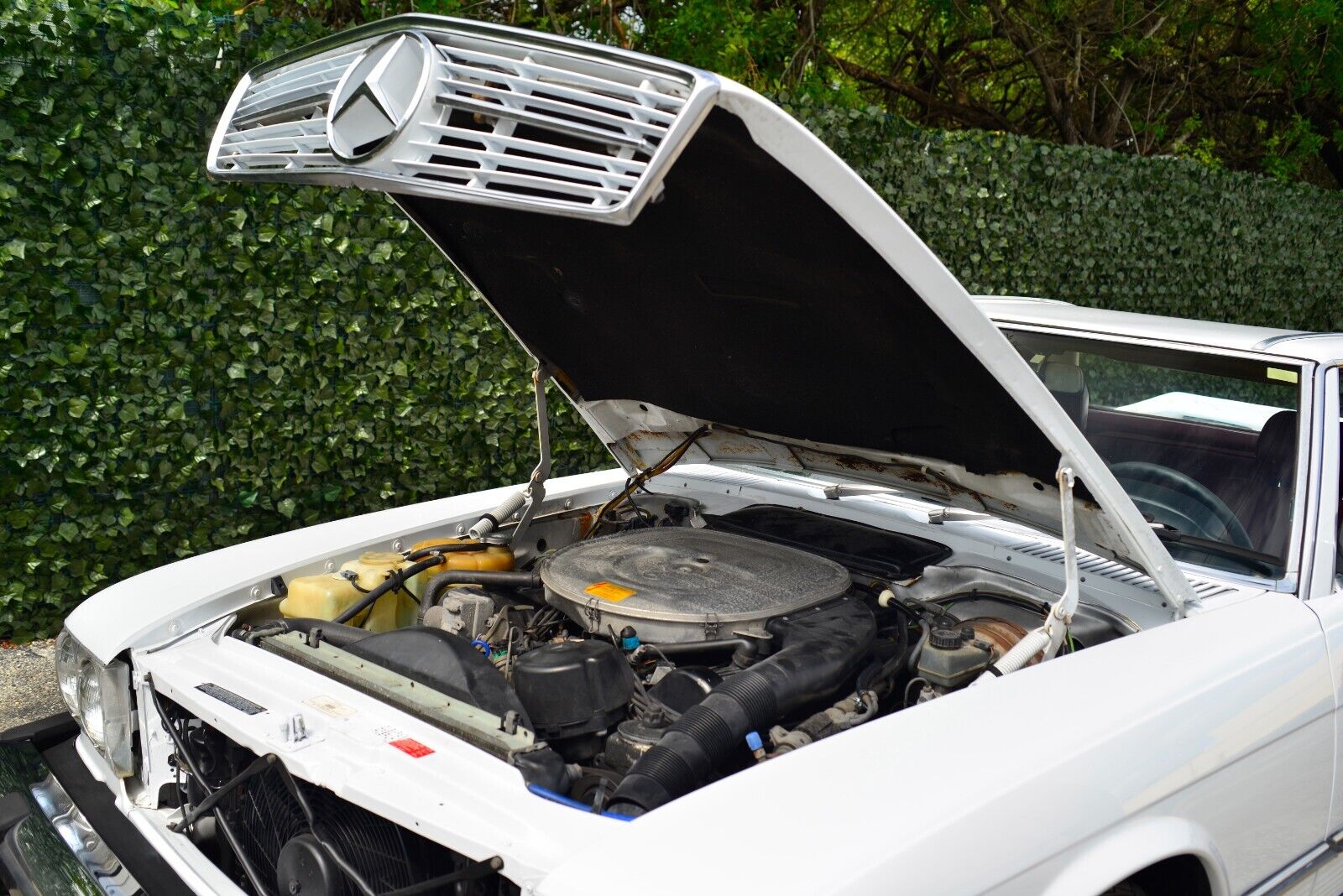 Mercedes-Benz-SL-Class-1986-Convertible-25