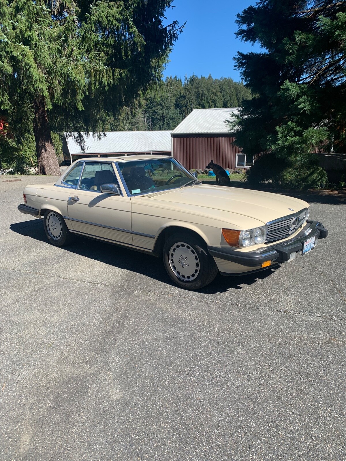 Mercedes-Benz-SL-Class-1986-Convertible-6
