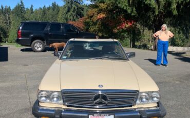 Mercedes-Benz-SL-Class-1986-Convertible-7