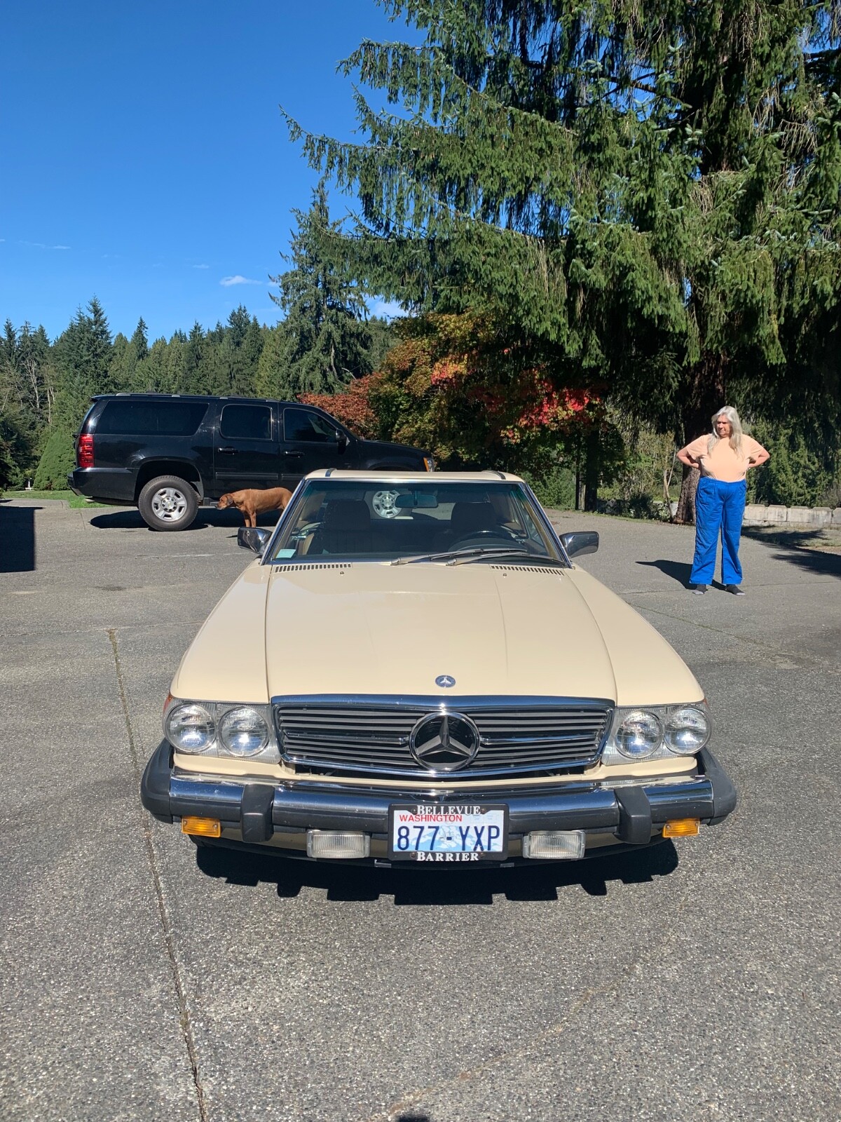 Mercedes-Benz-SL-Class-1986-Convertible-7