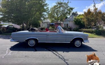 Mercedes-Benz-s220-1962-Convertible-19