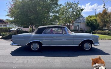 Mercedes-Benz-s220-1962-Convertible-22