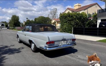 Mercedes-Benz-s220-1962-Convertible-24
