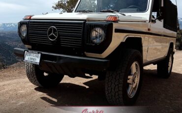 Mercedes-benz-230ge-1989-3