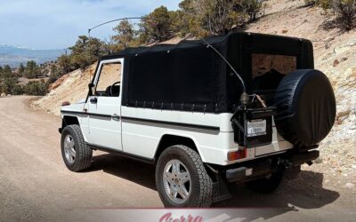 Mercedes-benz 230ge  1989