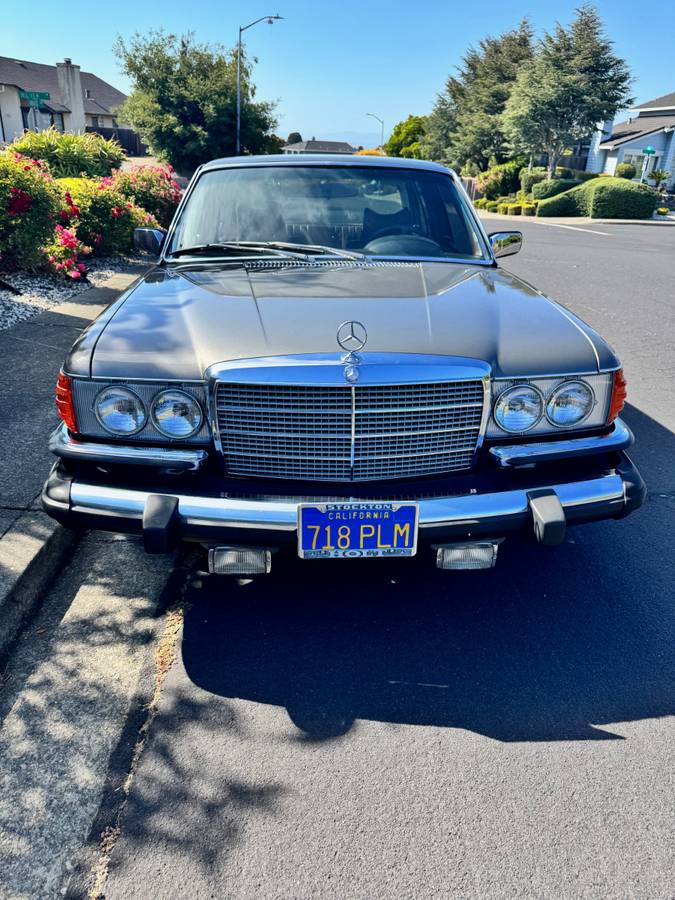 Mercedes-benz-450sel-1976-grey-8