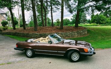 Mercedes-benz-Benz-380sl-1985-brown-6