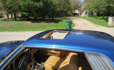 Mercedes-benz-Benz-450-slc-1976-blue-6