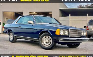 Mercedes-benz-benz-300-diesel-1984-blue-11