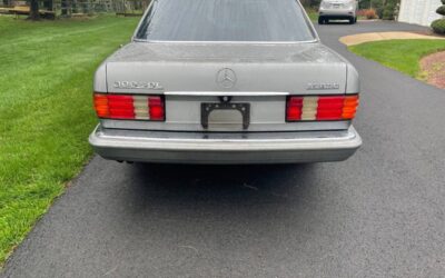 Mercedes-benz -benz 300 sdl diesel  1987 grey
