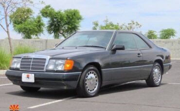 Mercedes-benz-benz-300-series-2dr-cou-1989-19
