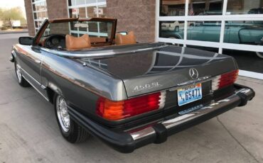 Mercedes-benz-benz-450sl-1978-silver-6
