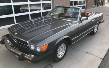 Mercedes-benz-benz-450sl-1978-silver-7