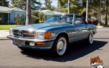Mercedes-benz-benz-560-series-560sl-1987-6