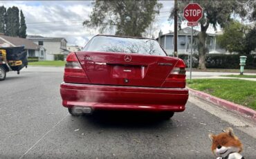 Mercedes-benz-benz-c-36-3.6l-1995-4