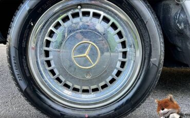 Mercedes-benz-benz-sel-450-1978-10