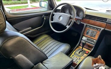 Mercedes-benz-benz-sel-450-1978-7
