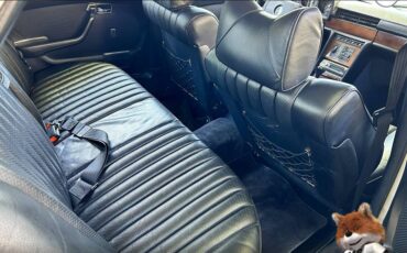 Mercedes-benz-benz-sel-450-1978-8