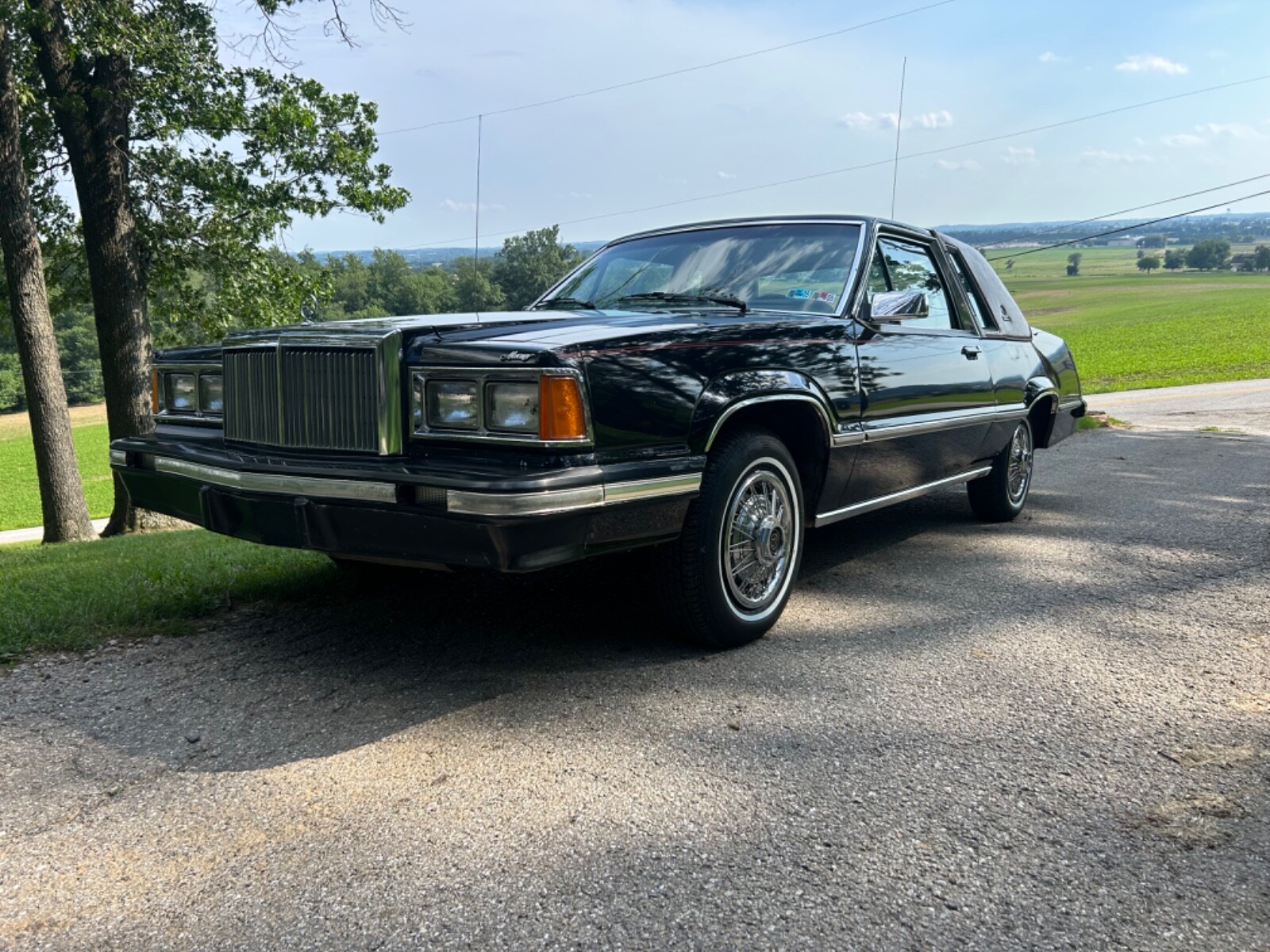 Mercury-Cougar-1981-Coupe-1