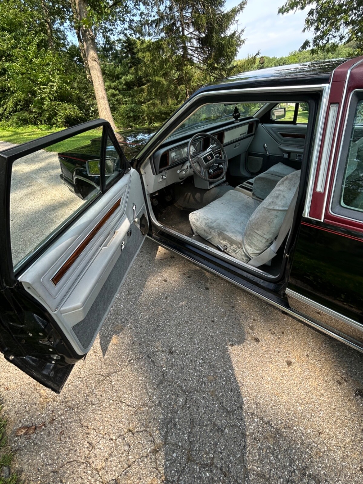 Mercury-Cougar-1981-Coupe-4