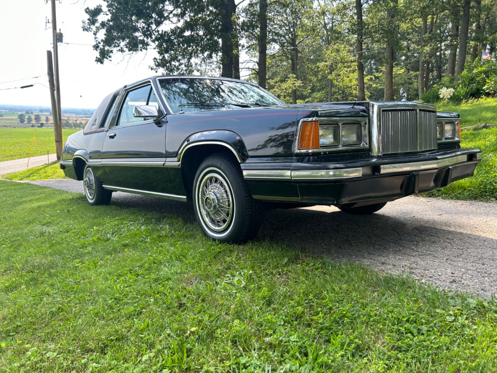Mercury-Cougar-1981-Coupe