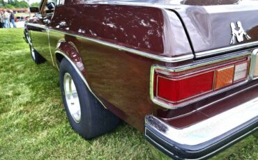 Mercury-Monarch-1976-brown-1
