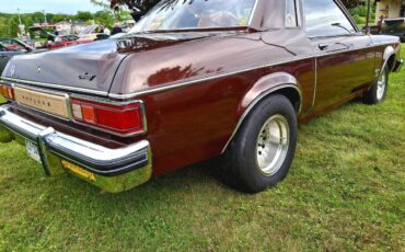 Mercury-Monarch-1976-brown-4