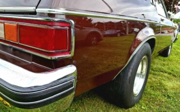 Mercury-Monarch-1976-brown-5