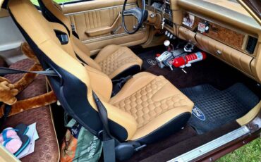 Mercury-Monarch-1976-brown-9