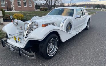 Mercury-Tiffany-Custom-Made-1986-Exotic