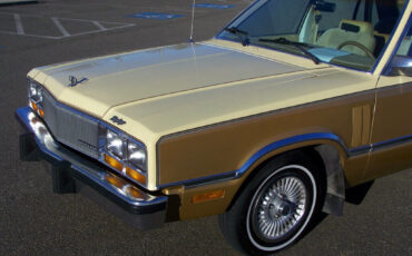 Mercury-Zephyr-1983-Sedan-16
