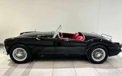 Mg A  1960 black
