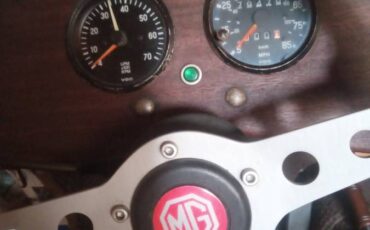 Mg-Td-1952-brown-4