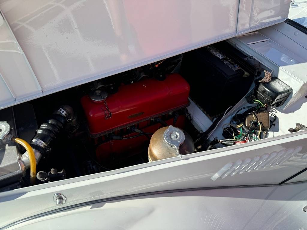 Mg-Tf-roadster-1954-white-21
