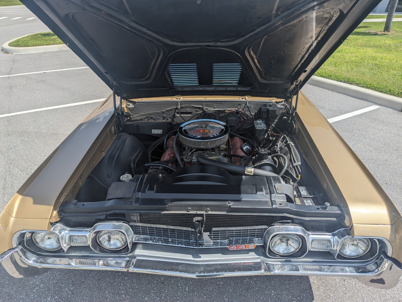 Oldsmobile-442-1967-Coupe-6